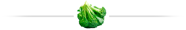 Footer Image