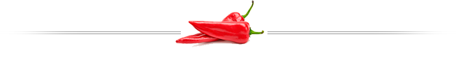 Footer Image