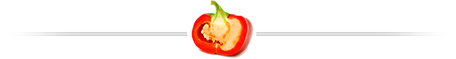 Footer Image