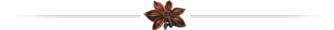 Footer Image