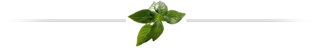 Footer Image